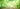 wood tree material design
