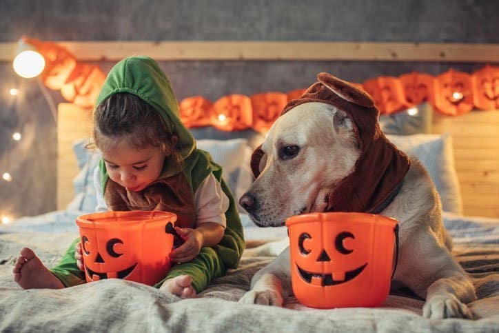 halloween girl dog