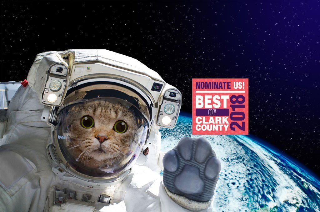 cat in space suite