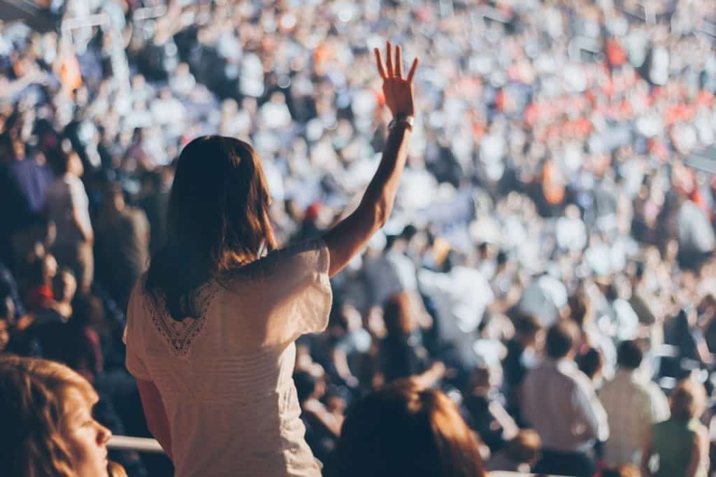 fan in the stands