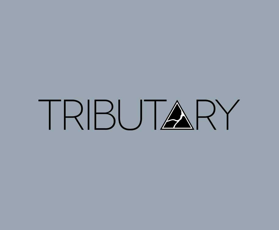 tributary branding 2