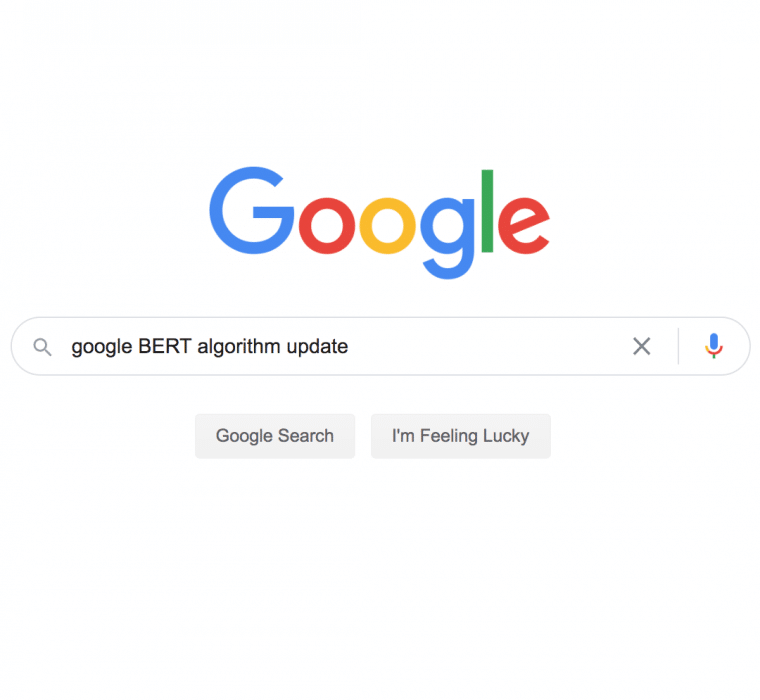 google bert algorithm updated entered into google's search bar