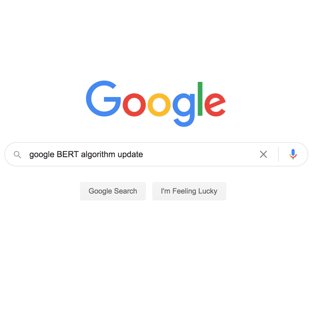 google bert algorithm updated entered into google's search bar