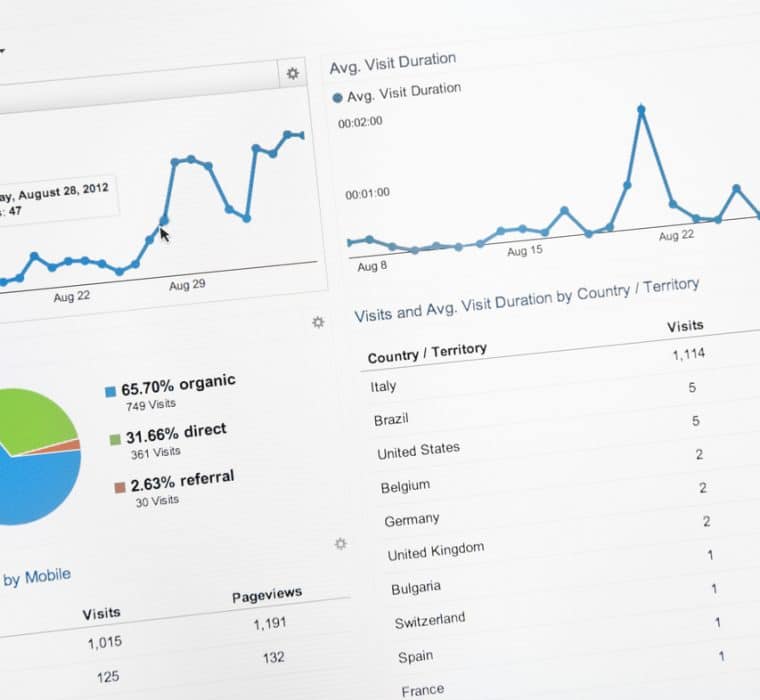 Google Analytics spreadsheet with graphs and a pie chart.