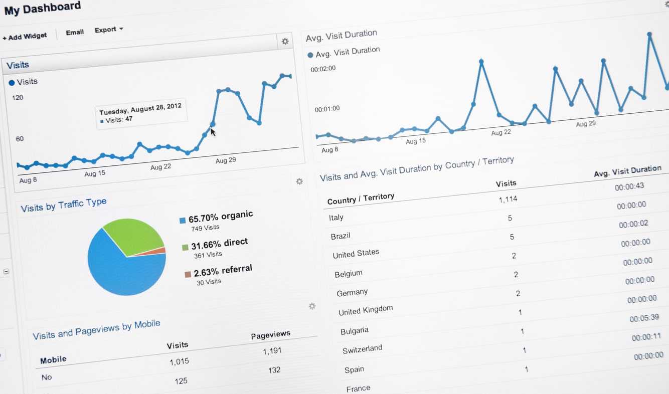 Google Analytics spreadsheet with graphs and a pie chart.