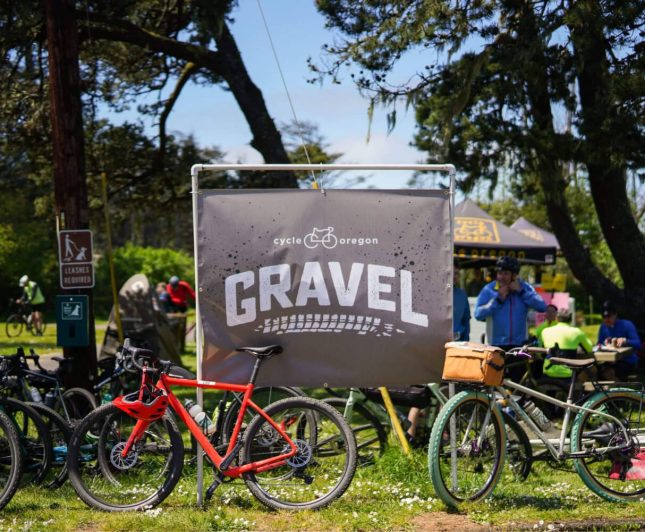 bicycle event sign and colorful bikes