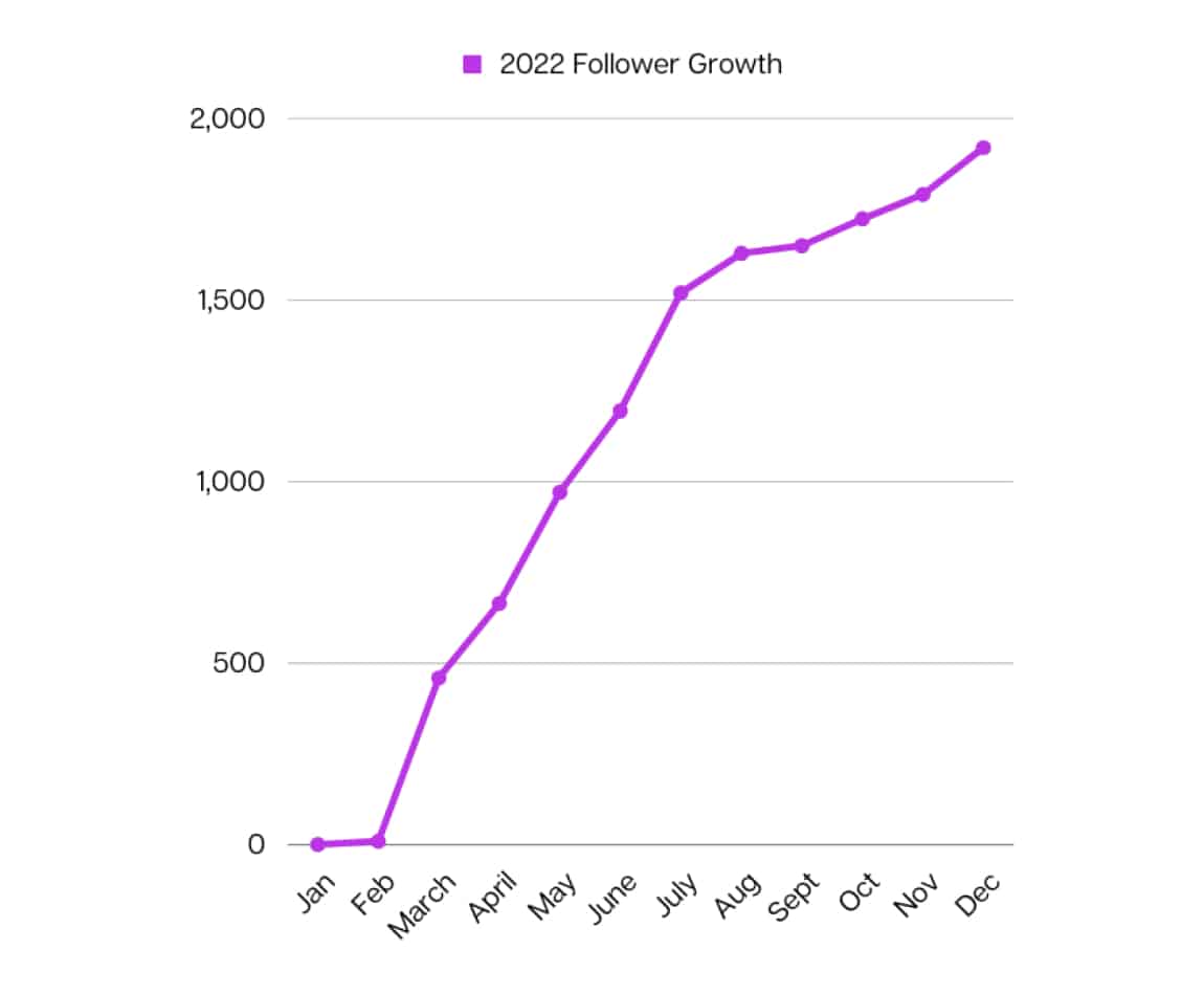 line graph showing steep increase in followers in 2022